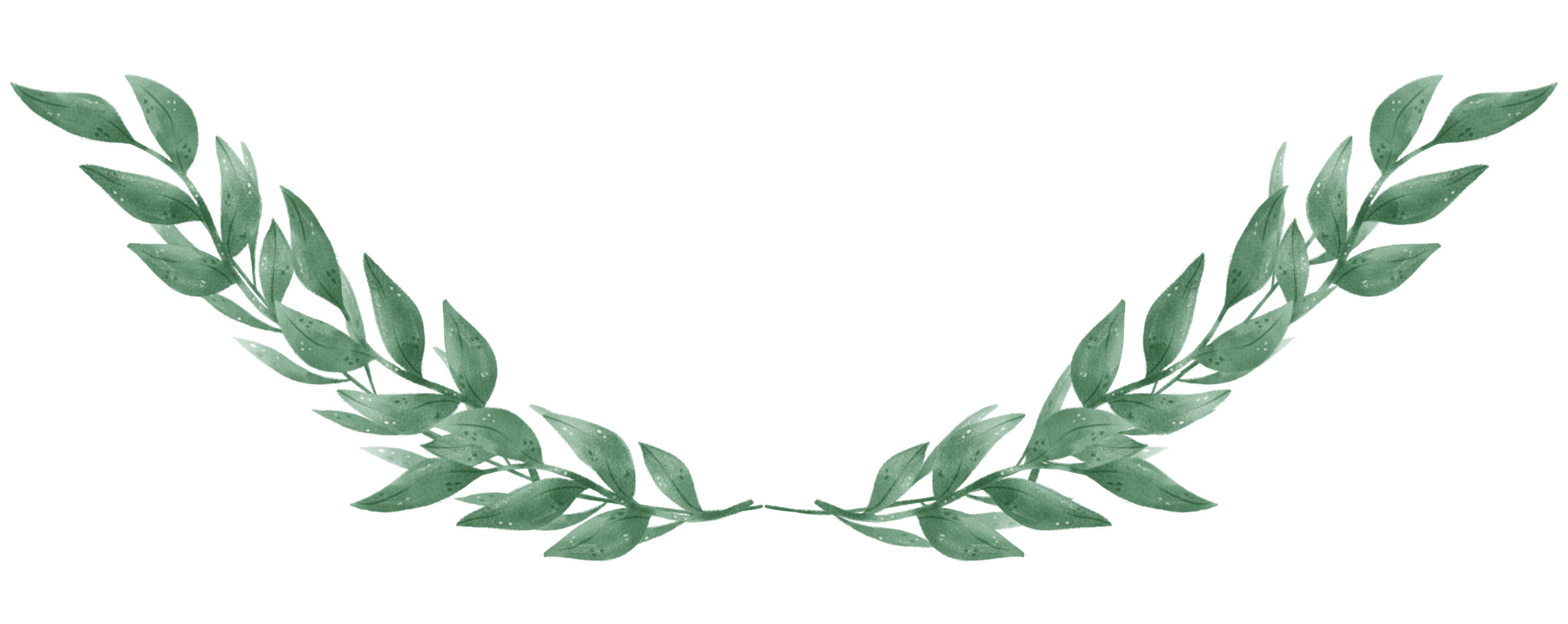 「みんなの記事監修」登録のお知らせ