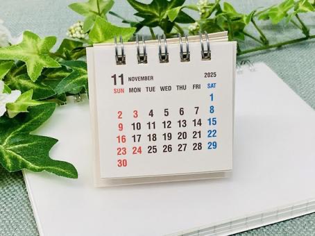 11月診療のお知らせ